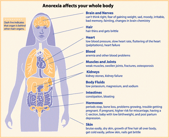 How anorexia affects your body